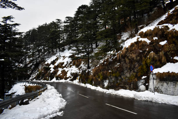Snowfall in Shimla Snowfall in Shimla near kufri . shimla stock pictures, royalty-free photos & images