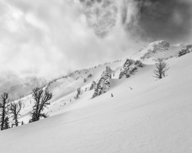 Snowfield leading to albright peak stock photo
