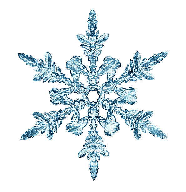 Image result for snowflake image