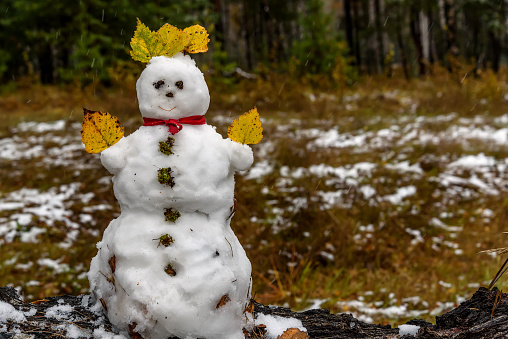 Little snowman made of the first snow with autumn leaves and buttons of moss, stands on the birch and grass in the autumn forest