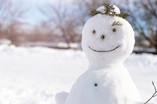 Snowman in snowy field