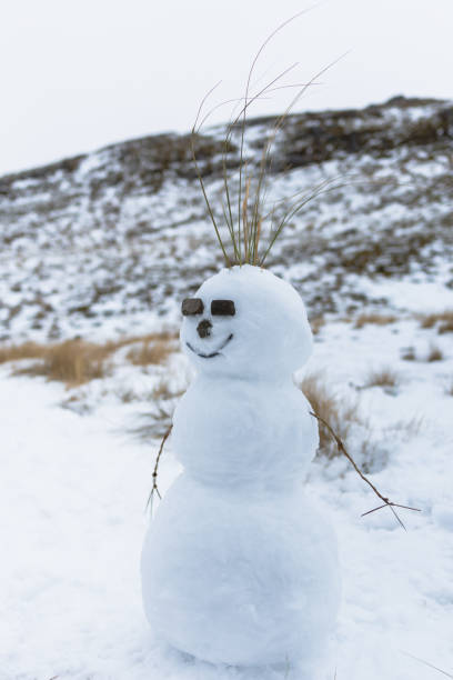 Snowman stock photo