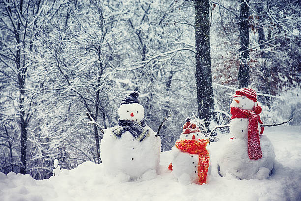 bonhomme de neige en famille - bonhomme de neige photos et images de collection
