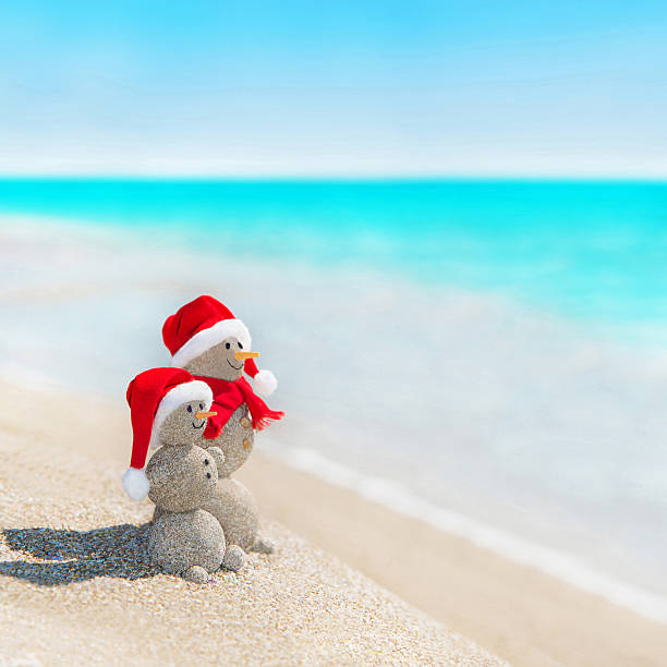 snowmen друзей на пляже в рождество hat.  новогодний праздник - happy new year стоковые фото и изображения