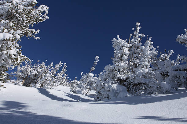 snowscape stock photo
