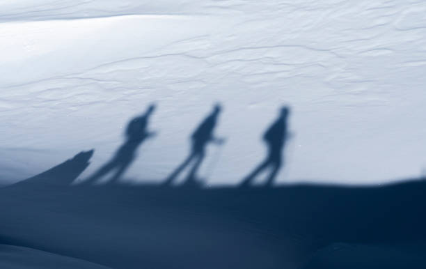 походы на снегоступах в брегенц-вальд, австрия - wald стоковые фото и изображения