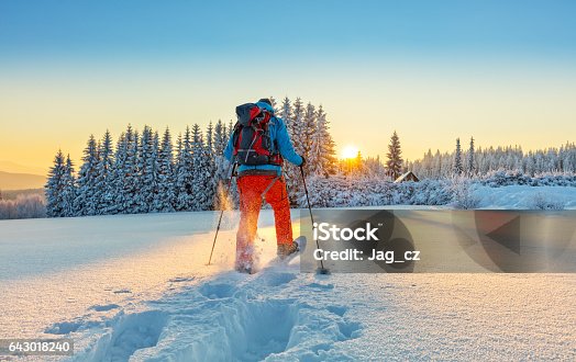istock Snowshoe walker running in powder snow 643018240
