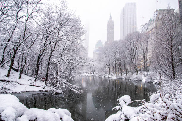 Snowy Central Park stock photo