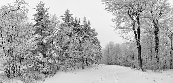 Snowy countryside, Pustevny Beskydy Czech Republic
