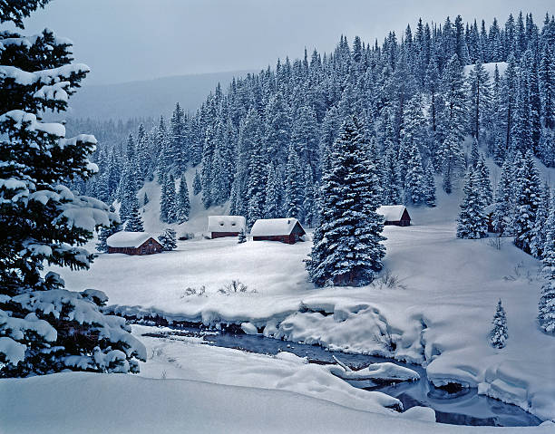snowy blockhütten im wunderschönen mondlicht - schönbach stock-fotos und bilder