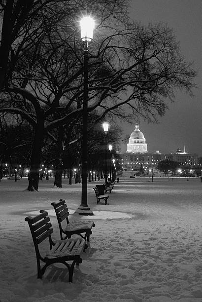 Snowy night at the U.S. Capitol stock photo
