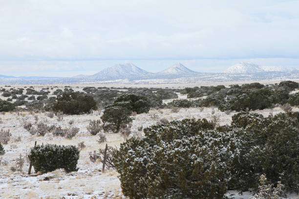 Snowy Northern New Mexico Landscape with Juniper Trees stock photo