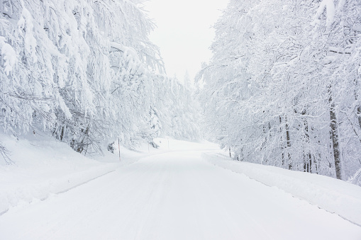 A snowy road in the Vosges mountains (France) in winter.