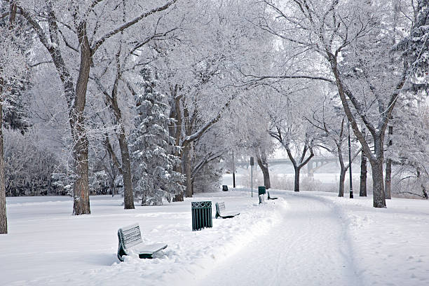 Snowy Walking Path in Saskatoon Park stock photo