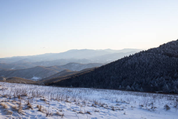 Snowy Winter Day at Roan Mountain on the North Carolina Tennessee Border Cold winter day at snow-covered Appalachian Trail at Roan Mountain on the North Carolina - Tennessee border. north carolina us state photos stock pictures, royalty-free photos & images