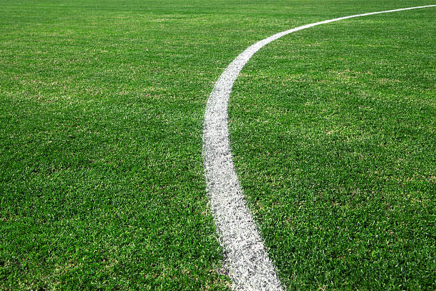 soccer field - grass texture stockfoto's en -beelden