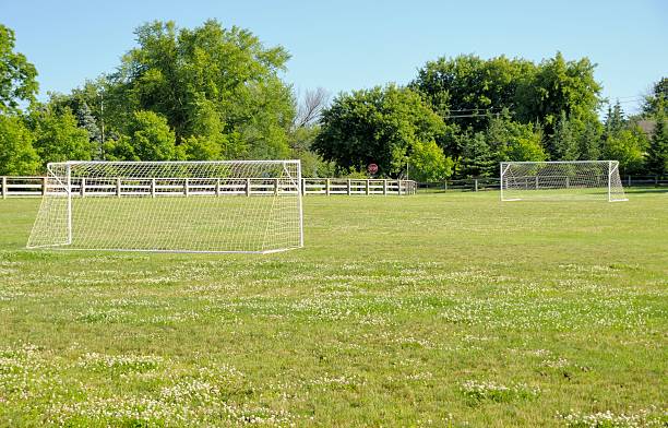 soccer field - michigan football stok fotoğraflar ve resimler