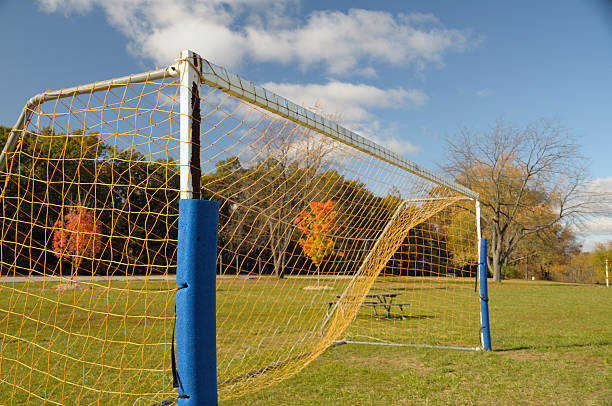 soccer goal - michigan football stok fotoğraflar ve resimler