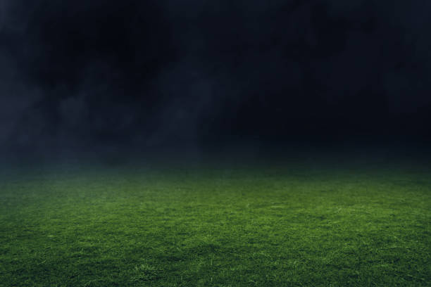 Soccer stadium field Soccer stadium field grass stock pictures, royalty-free photos & images