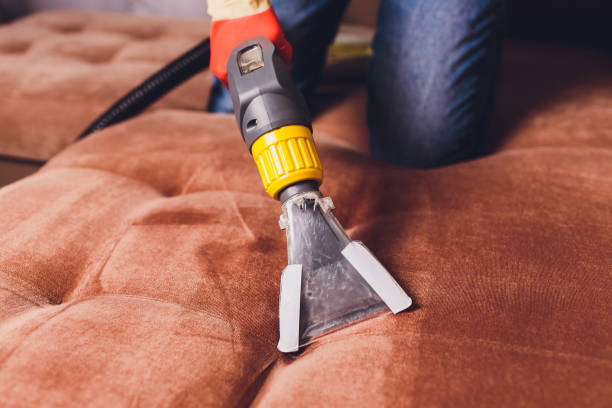 Sofa chemical cleaning with professionally extraction method. Upholstered furniture. Early spring cleaning or regular clean up. Dry cleaner's in light red protective glove employee removing dirt from furniture in flat. stock photo