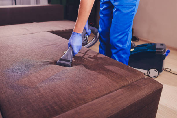 Sofa chemical cleaning with professionally extraction method. Upholstered furniture. Early spring cleaning or regular clean up. stock photo