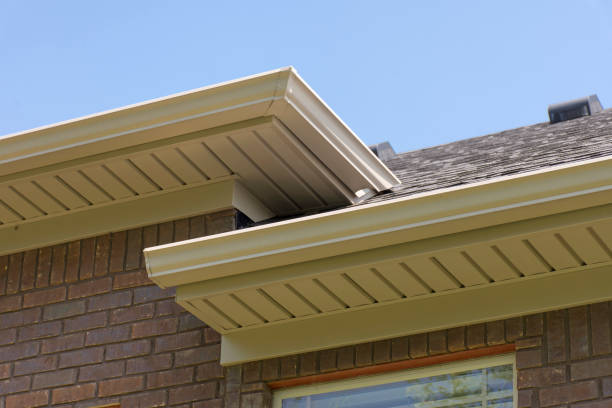 Soffit on back of house Roof showing gutters and soffit on the back of a brick house. roof beam stock pictures, royalty-free photos & images