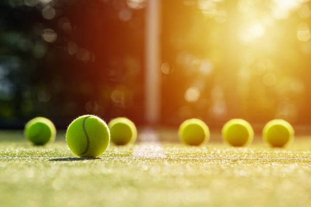 miękkie skupienie piłki tenisowej na trawiastym korcie tenisowym ze światłem słonecznym - wimbledon tennis zdjęcia i obrazy z banku zdjęć