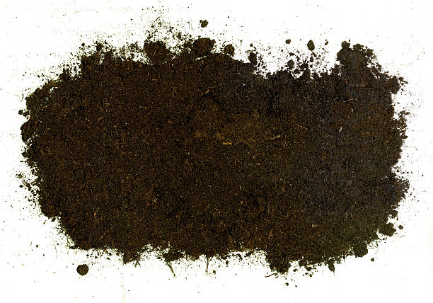 Soil handful on white background stock photo