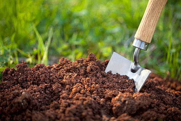 Soil with a garden trowel Garden trowel in the soil humus. compost stock pictures, royalty-free photos & images