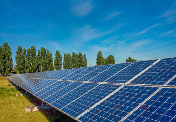 持続可能な太陽光発電所のソーラーパネル。

太陽光発電所

太陽光発電所 - 脱炭素 ストックフォトと画像