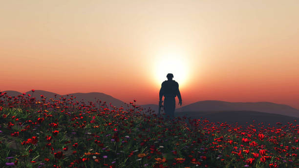 3D soldier walking in a poppy field 3D render of a soldier walking in a poppy field memorial day background stock pictures, royalty-free photos & images