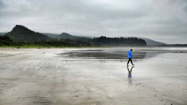 Solo Female Walking on Neah Bay, Washington, Foggy Beach Neah Bay Beach, Pacific Northwest, Washington, Seaweed Low Tide neah bay stock pictures, royalty-free photos & images