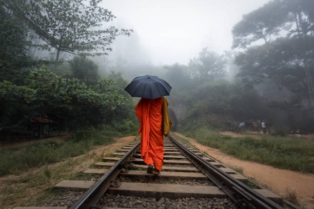 Solo monk walking  buddhist monk sri lanka stock pictures, royalty-free photos & images