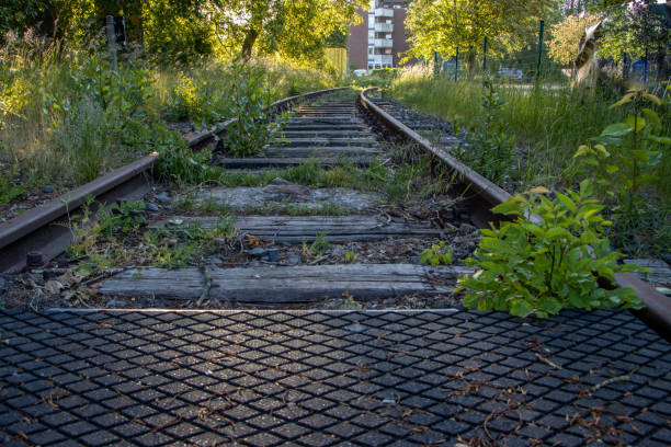 some disused railway tracks are overgrown with plants disused railway tracks are overgrown with plants rough endoplasmic reticulum stock pictures, royalty-free photos & images