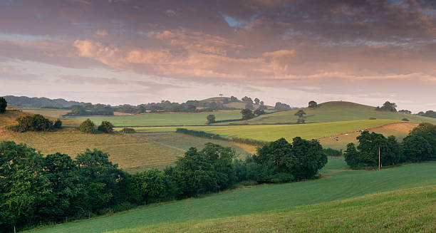 Somerset landscape stock photo