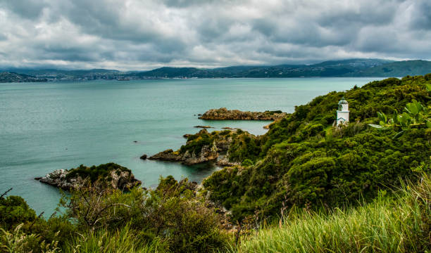 Somes Island, New Zealand stock photo