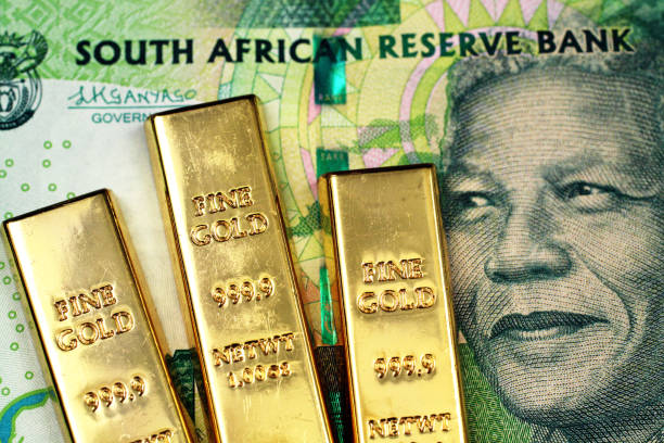 A South African ten rand bank note with three small gold bars stock photo