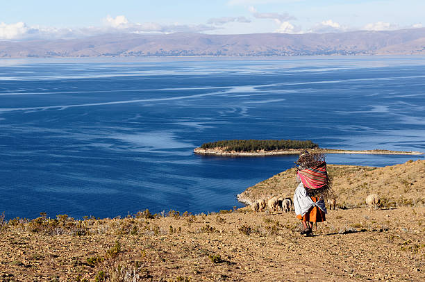 South America South America, Bolivia - Isla del Sol on the Titicaca lake, the largest highaltitude lake in the world. Ethnic woman returning to the village with wood being used to make a fire in order to cook the food. beautiful peruvian women stock pictures, royalty-free photos & images