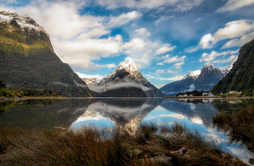 3,000+ Free New Zealand & Nature Images