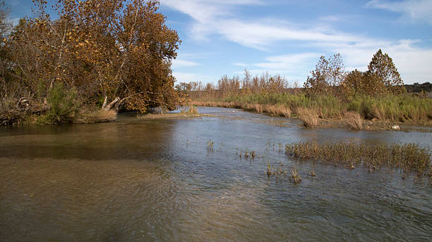 Photo of South Texas River