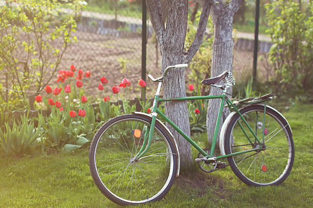 Soviet vintage bicycle in garden stock photo