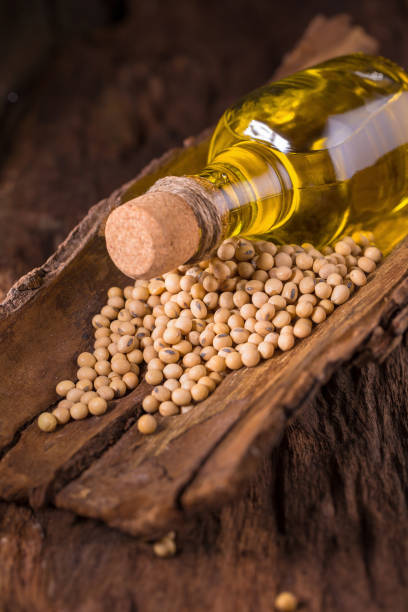 Soy bean and soy oil on wooden table. Selective focus stock photo