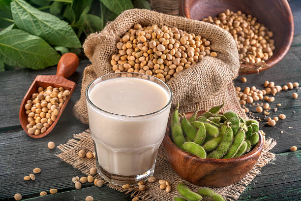 soybeans and soymilk stock photo