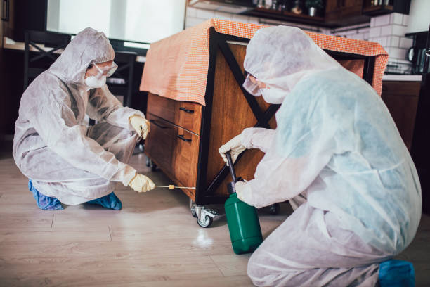 Specialists in protective suits take samples from surfaces in the home to test for a new corona virus. Specialists in protective suits take samples from surfaces in the home to test for a new corona virus. spray bed bugs stock pictures, royalty-free photos & images