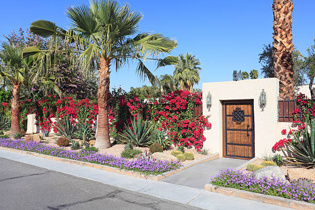 Spectacular Residential Desert Landscaping Colorful garden outside yard at streetside.  Arid desert plants including cactus,Bougainvillea and palm trees. palm springs california stock pictures, royalty-free photos & images
