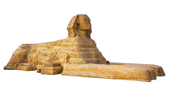 sphinx sphinx on a white background sphinx stock pictures, royalty-free photos & images