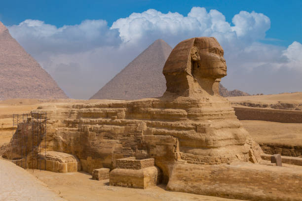 Sphinx Sphinx and Pyramids sphinx stock pictures, royalty-free photos & images
