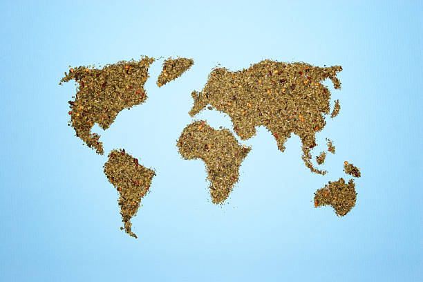 Spice world World map made of spice on textured background with little vignette spices of the world stock pictures, royalty-free photos & images