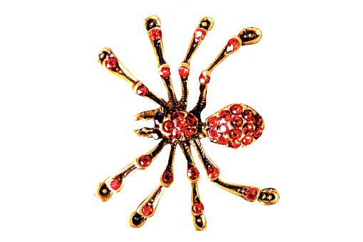 A spider jewelry on white background, isolated.
