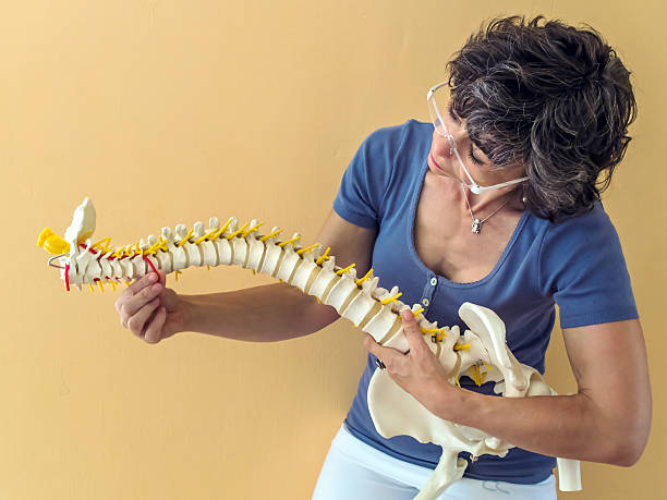 Spinal Column Physicians with a spine cauda equina photos stock pictures, royalty-free photos & images